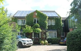 Pear Tree House Studio